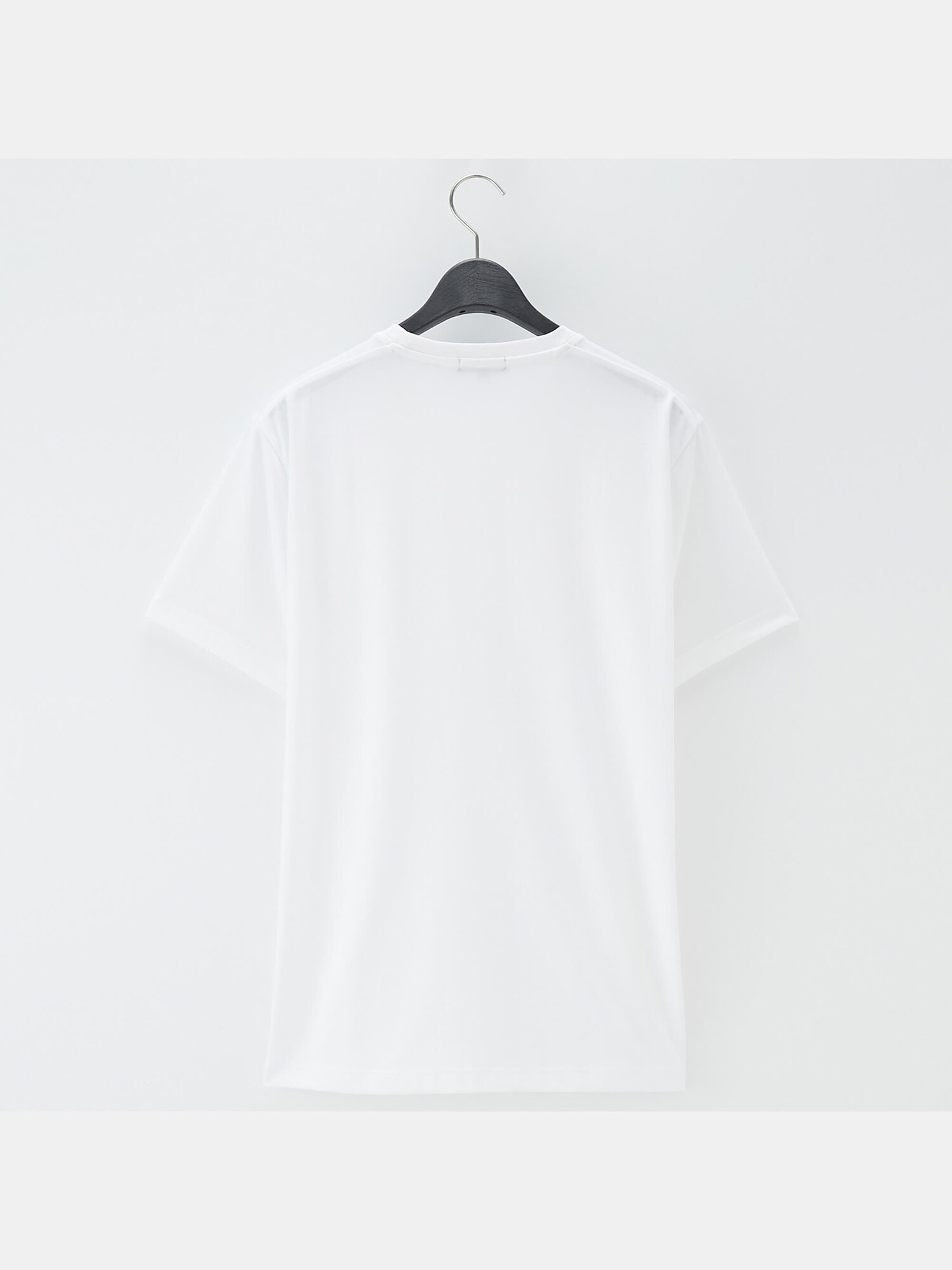 PLST(プラステ)公式 | シルキーコットンクルーネックTシャツ(メンズ)