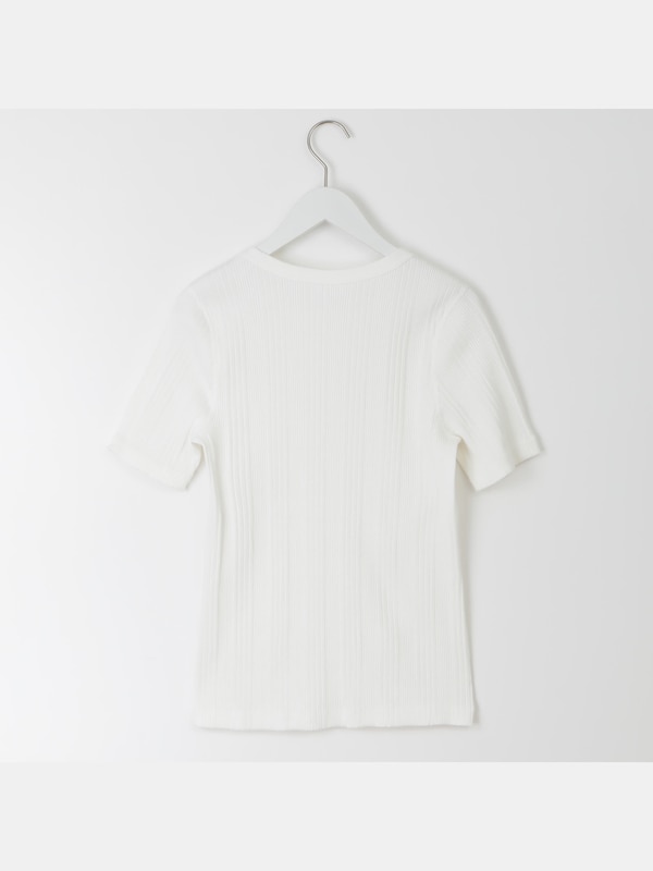 PLST(プラステ)公式 | クルーネックランダムリブTシャツ（半袖 