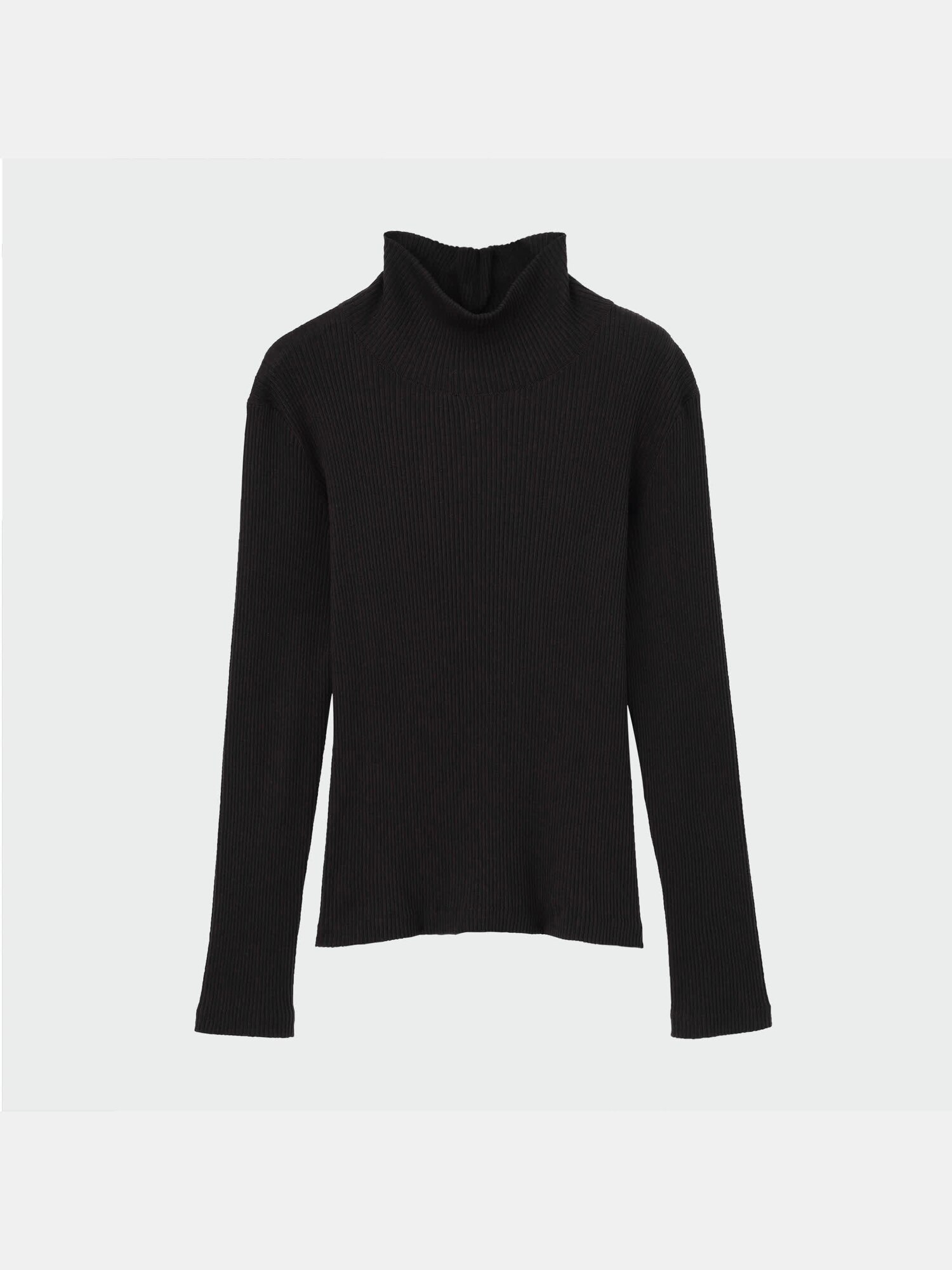 PLST(プラステ)公式 | ペルヴィアンピマコットンタートルネックリブT