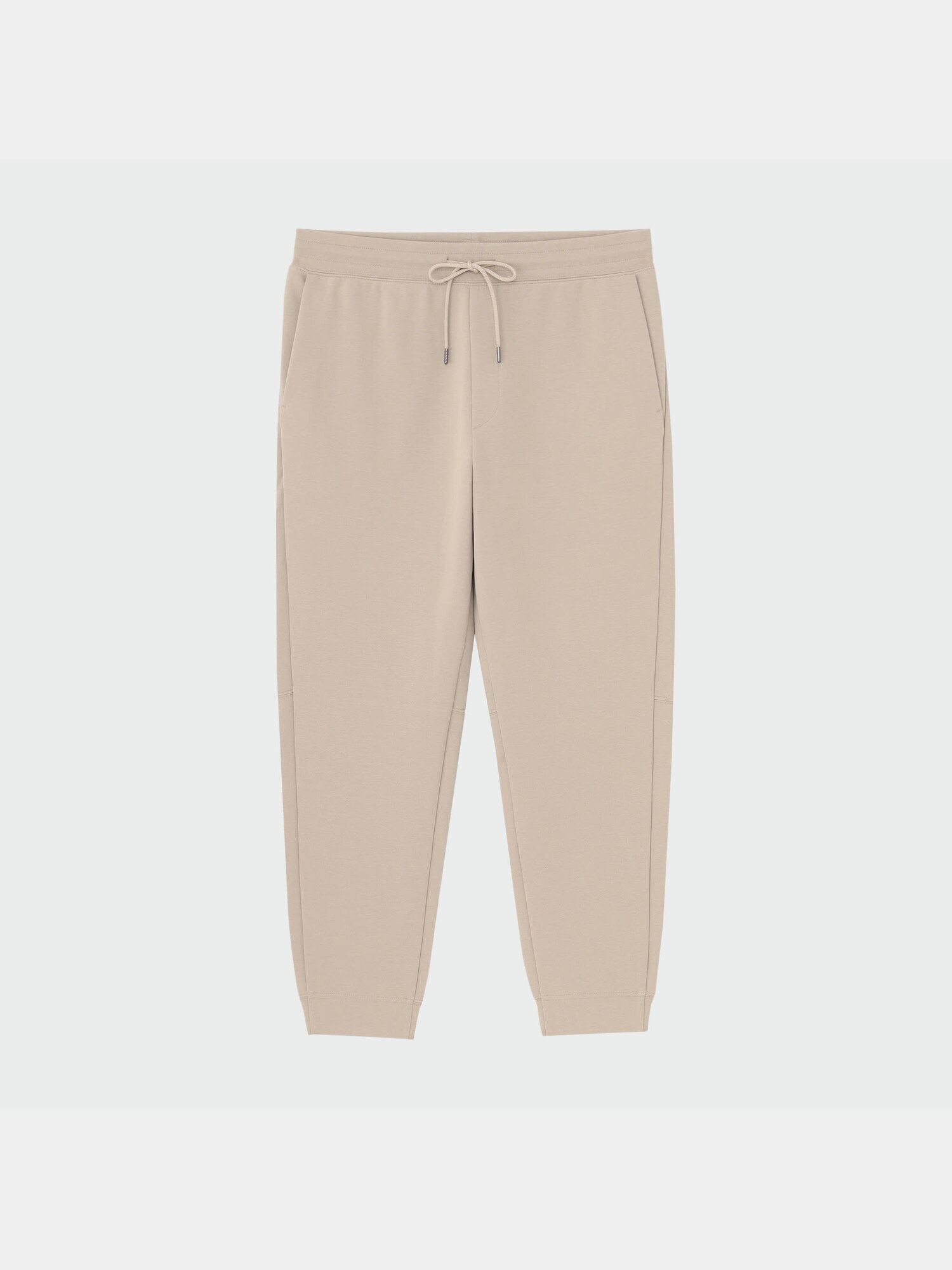 専用❣️ 特選Begonia ６点 Betty Vander Poorten's Begonia Collection | Queensland Begonia Society