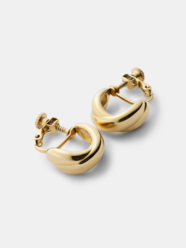 メタルモチーフイアリング