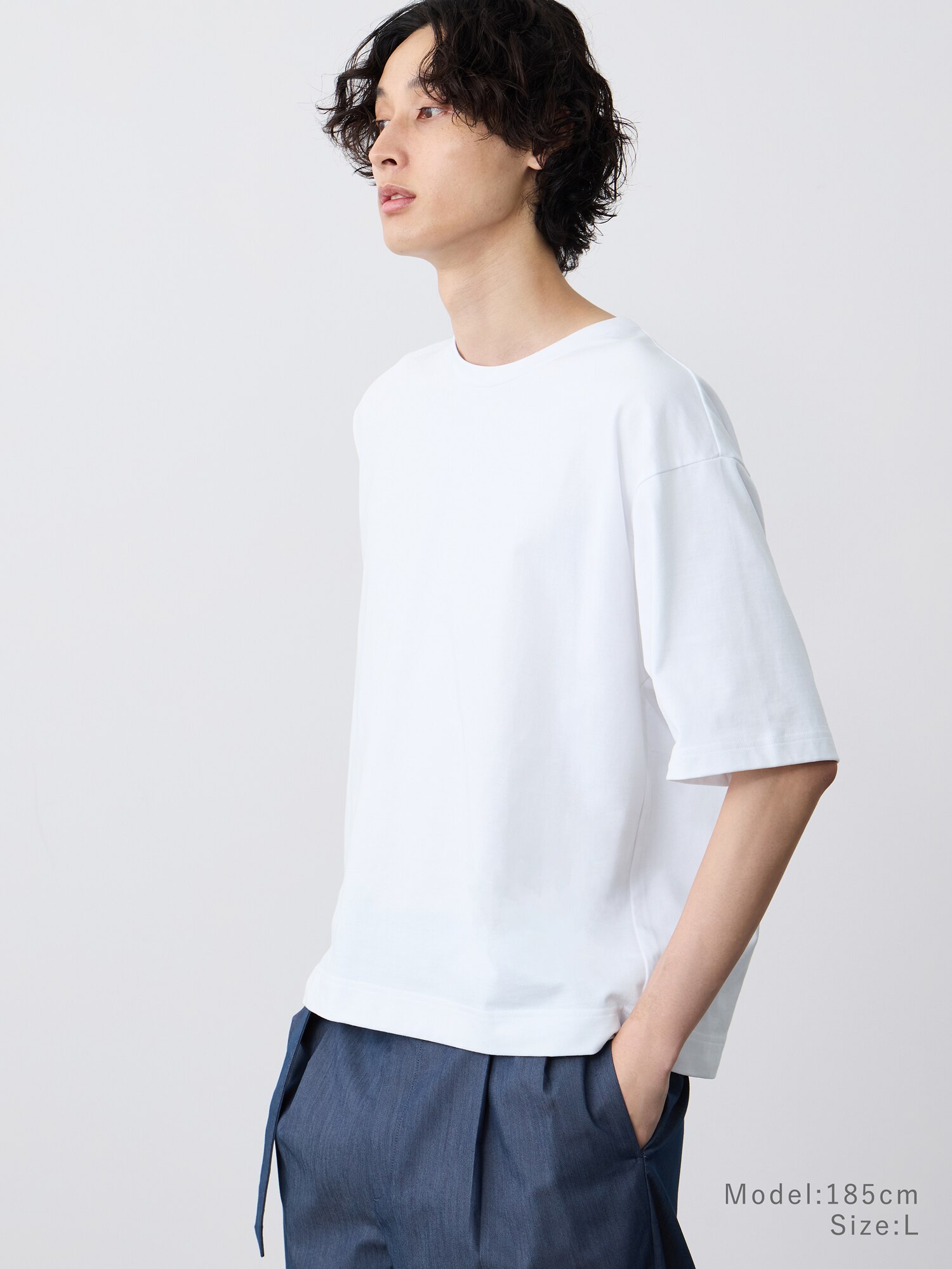 PLST(プラステ)公式 | テンジククロップドTシャツ(メンズ)